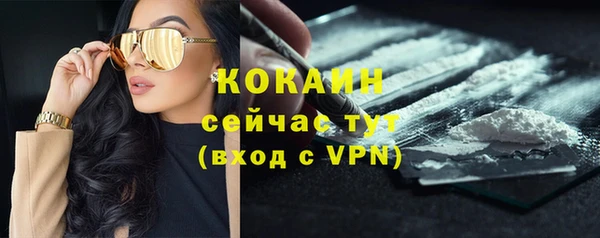 индика Сосновка
