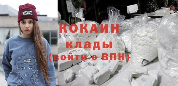 гашик Белоозёрский