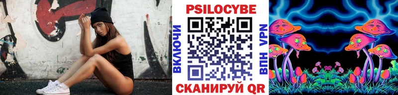 мега как зайти  где купить   Кудрово  Галлюциногенные грибы ЛСД 