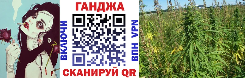 как найти закладки Кудрово Конопля план